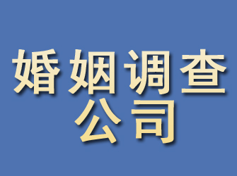 海原婚姻调查公司